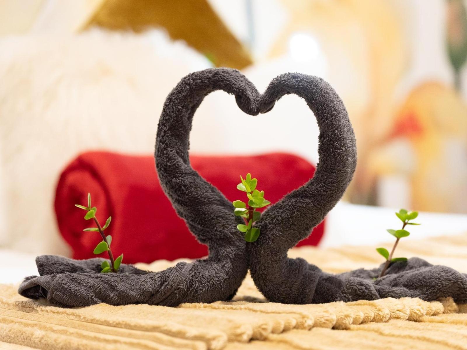 Mediterranean Villa Guesthouse ケープタウン 部屋 写真